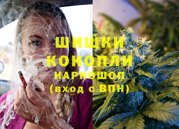 бошки Алексин