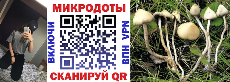 Галлюциногенные грибы GOLDEN TEACHER  Пошехонье 